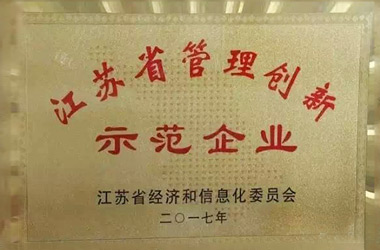2017年，堂皇集團榮獲“江蘇省管理創(chuàng)新示范企業(yè)”